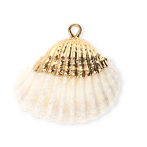 Schelp hanger special cockles Creamy white-gold