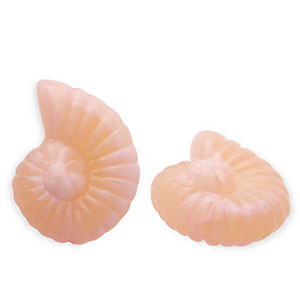 Kralen van acryl shell Salmon pink
