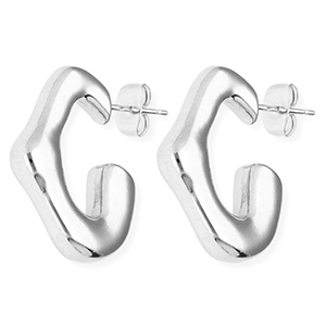 Oorbellen van Stainless steel Roestvrij staal (RVS) oorsteker irregular Silver