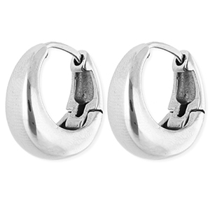 Oorbellen van Stainless steel Roestvrij staal (RVS) creolen Silver