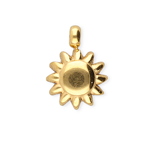 BY31&reg; Bedels van Stainless steel Roestvrij staal (RVS) sun Gold