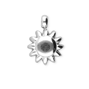 BY31&reg; Bedels van Stainless steel Roestvrij staal (RVS) sun Silver