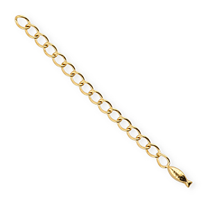 BY31&reg; Benodigdheden van Stainless steel Roestvrij staal (RVS) verlengketting set fish Gold