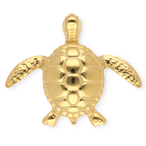 Statement broches van Stainless steel Roestvrij staal (RVS) turtle Gold