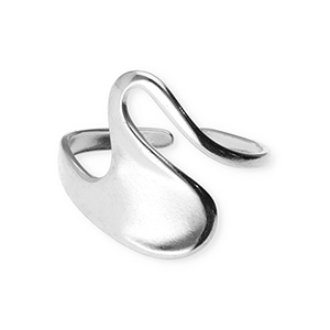 Ringen van Stainless steel Roestvrij staal (RVS) Silver