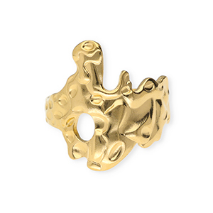 Ringen van Stainless steel Roestvrij staal (RVS) Gold