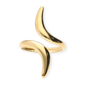 Ringen van Stainless steel Roestvrij staal (RVS) Gold