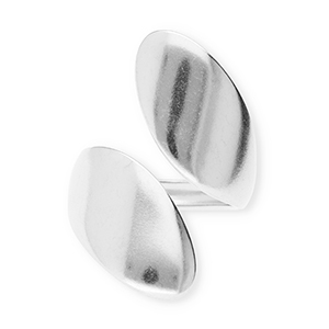 Ringen van Stainless steel Roestvrij staal (RVS) Silver