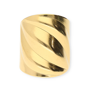 Ringen van Stainless steel Roestvrij staal (RVS) Gold