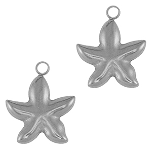Bedels van Stainless steel Roestvrij staal (RVS) starfish Silver