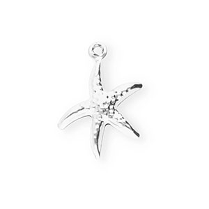 Bedels van Stainless steel Roestvrij staal (RVS) starfish Silver