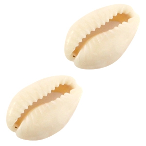 Kauri schelpen Ivoor-beige