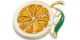 Pins / Broches