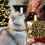 Inspiratie voor het maken van trendy sieraden voor een schitterende kerst