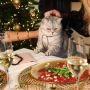 Inspiratie voor het maken van trendy sieraden voor een schitterende kerst