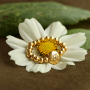 Get creative met Birth Flower kralen