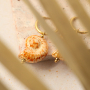 Get creative met Grieks keramiek DQ schelp kralen