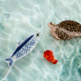 Inspiratie tijd met haaraccessoires